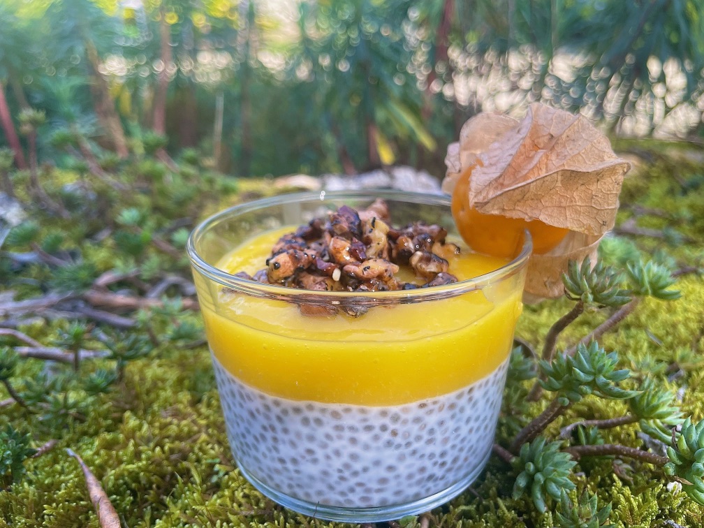 Chia Coco Mangue Et Noix De Coco Bon Et L Ger Les Conseils De Babsie